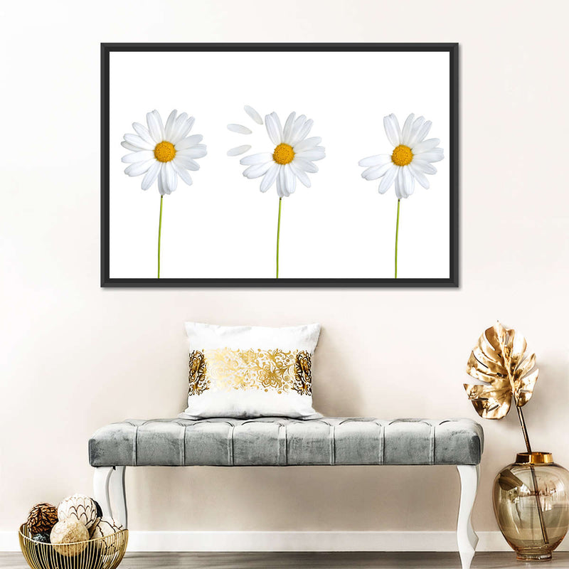 Plucked Daisies Wall Art
