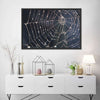 Spider Web Wall Art
