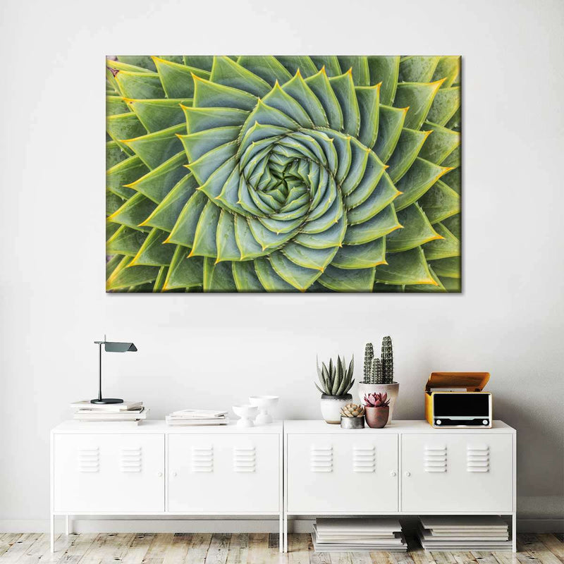 Spiral Succulent Wall Art