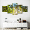 Tree Top Wall Art