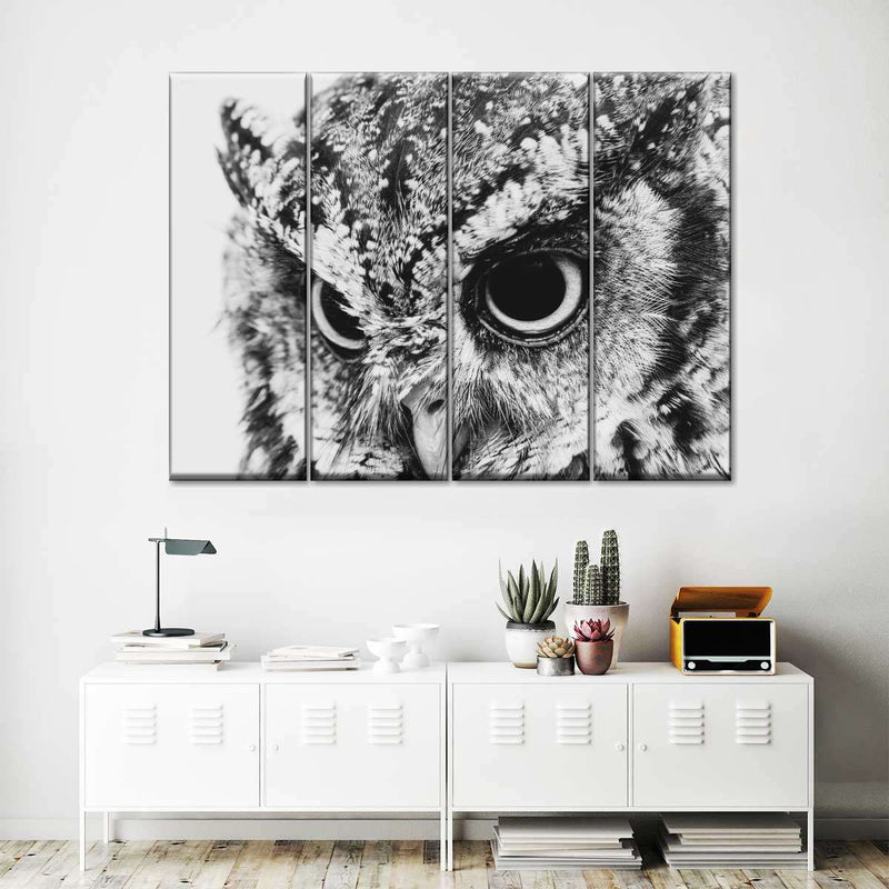 Staring Owl Wall Art