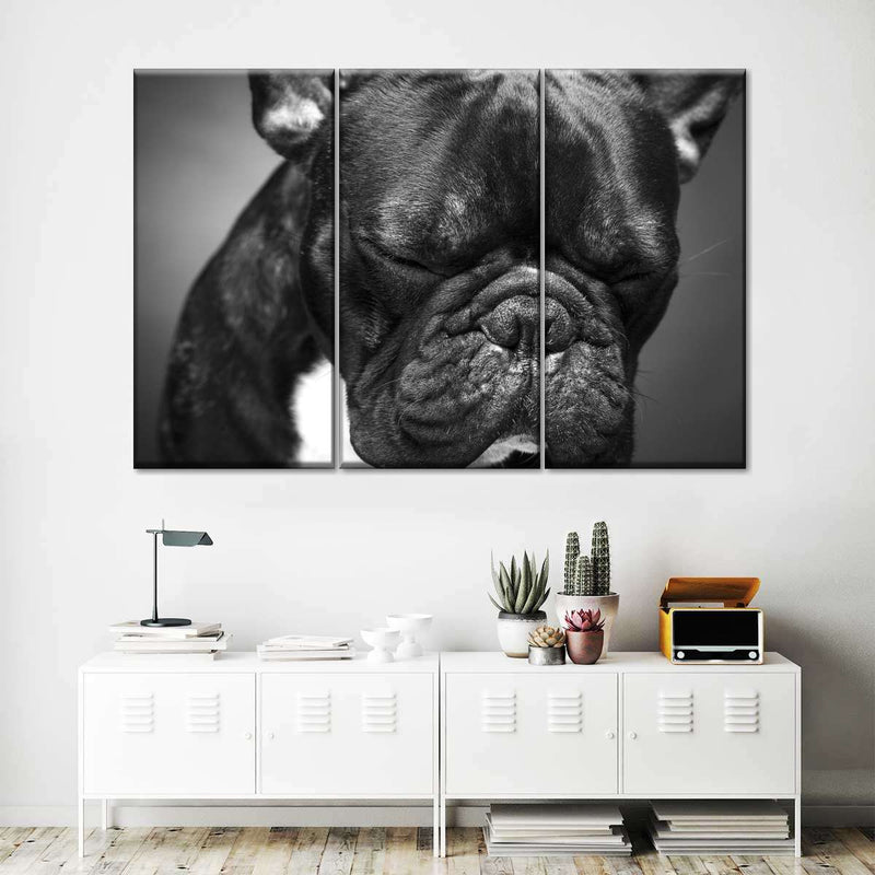 Melancholic French Bulldog Wall Art