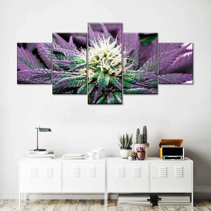 Rare Cannabis Plant Wall Art