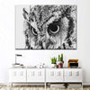 Staring Owl Wall Art