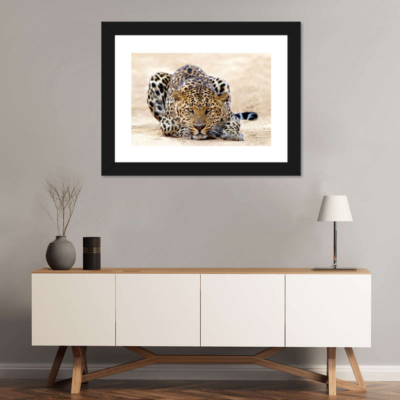 Watchful Jaguar Wall Art