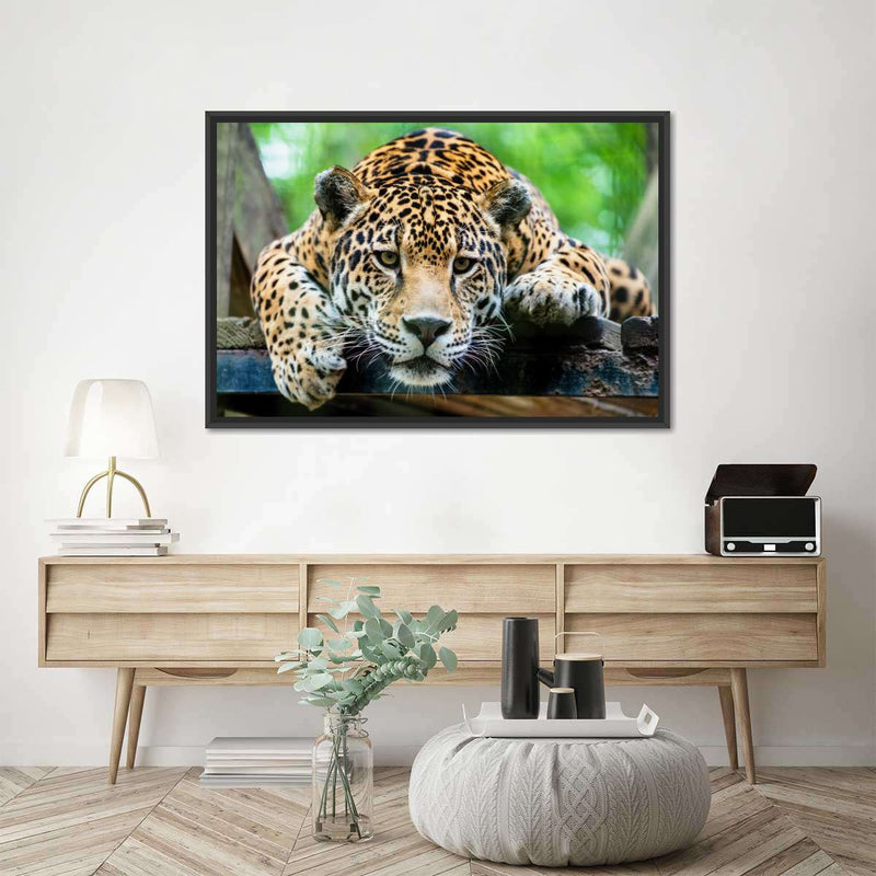 Lazy Leopard Wall Art