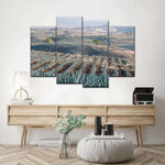 Tequila Jalisco Agave Field Wall Art
