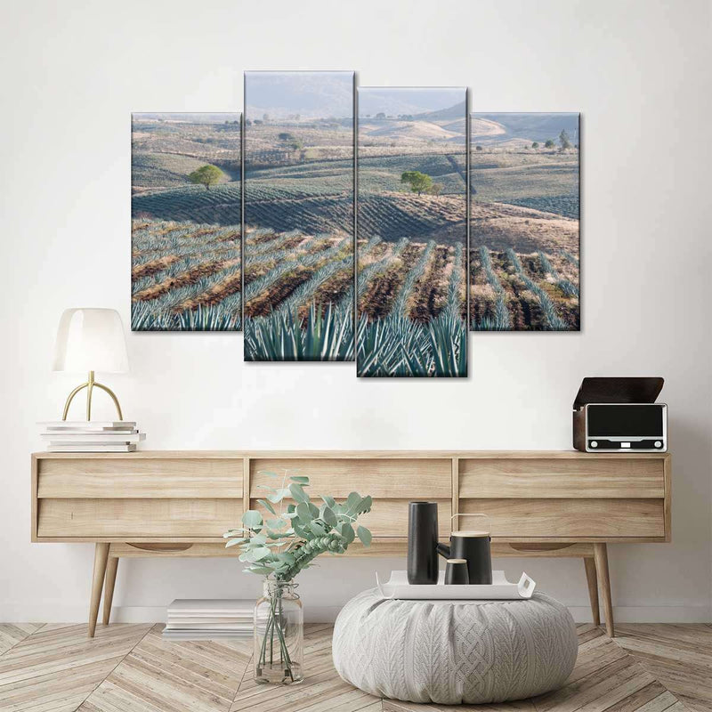 Tequila Jalisco Agave Field Wall Art