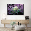 Rare Cannabis Plant Wall Art