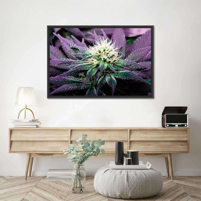 Rare Cannabis Plant Wall Art
