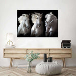 Three White Horses Wall Art