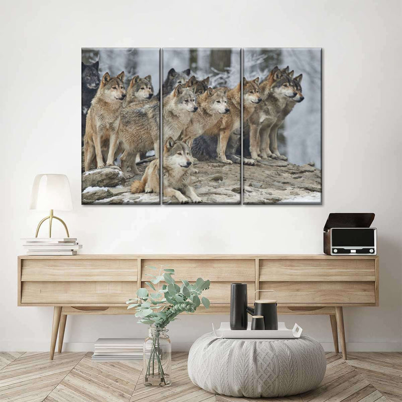 Wild Wolf Pack Wall Art