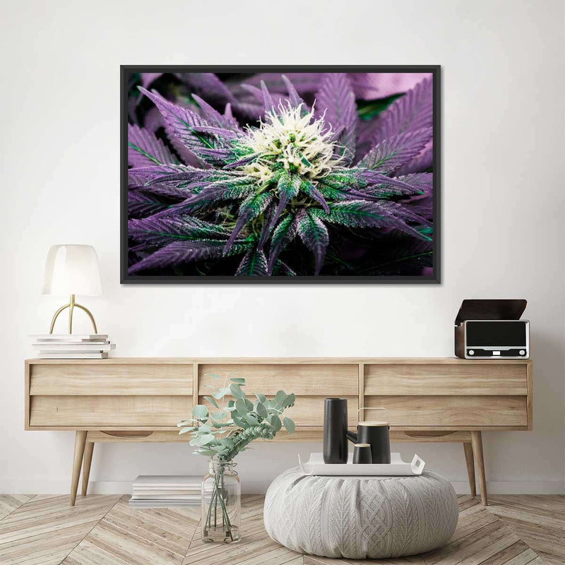 Rare Cannabis Plant Wall Art