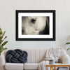 White Horse Eye Wall Art