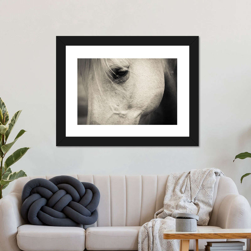 White Horse Eye Wall Art