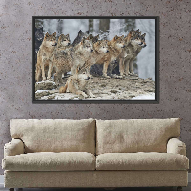 Wild Wolf Pack Wall Art