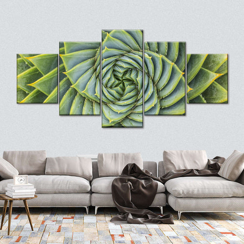 Spiral Succulent Wall Art