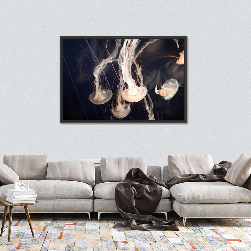Light Of Jellyfish Wall Art