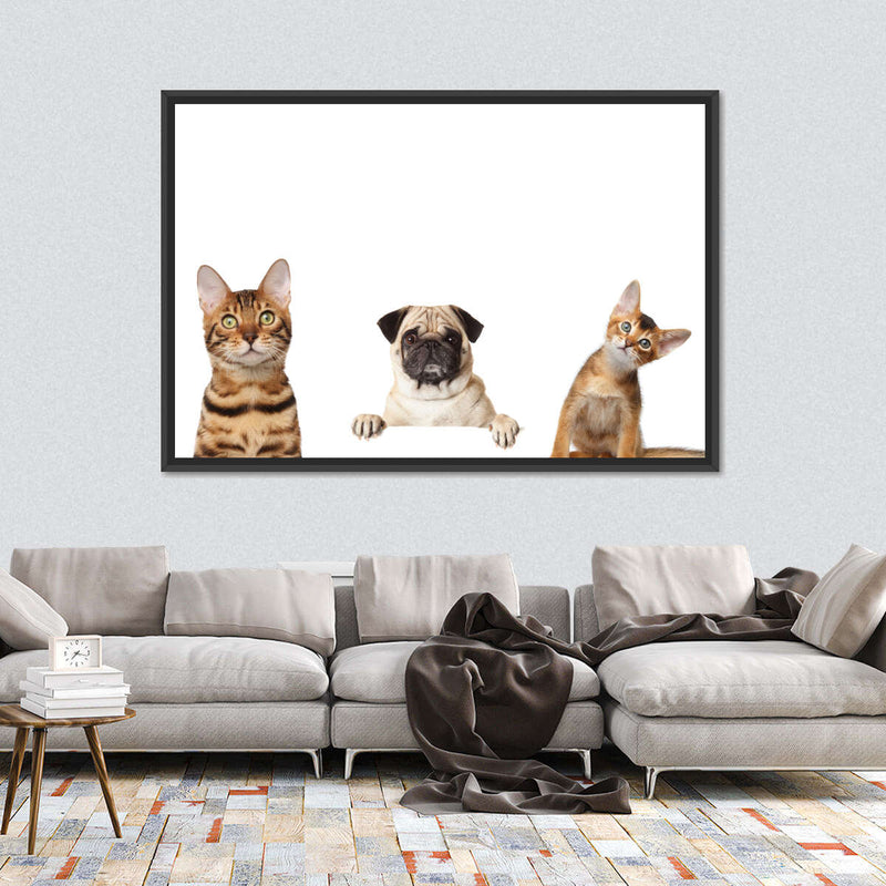Pug And Cats Wall Art