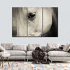 White Horse Eye Wall Art