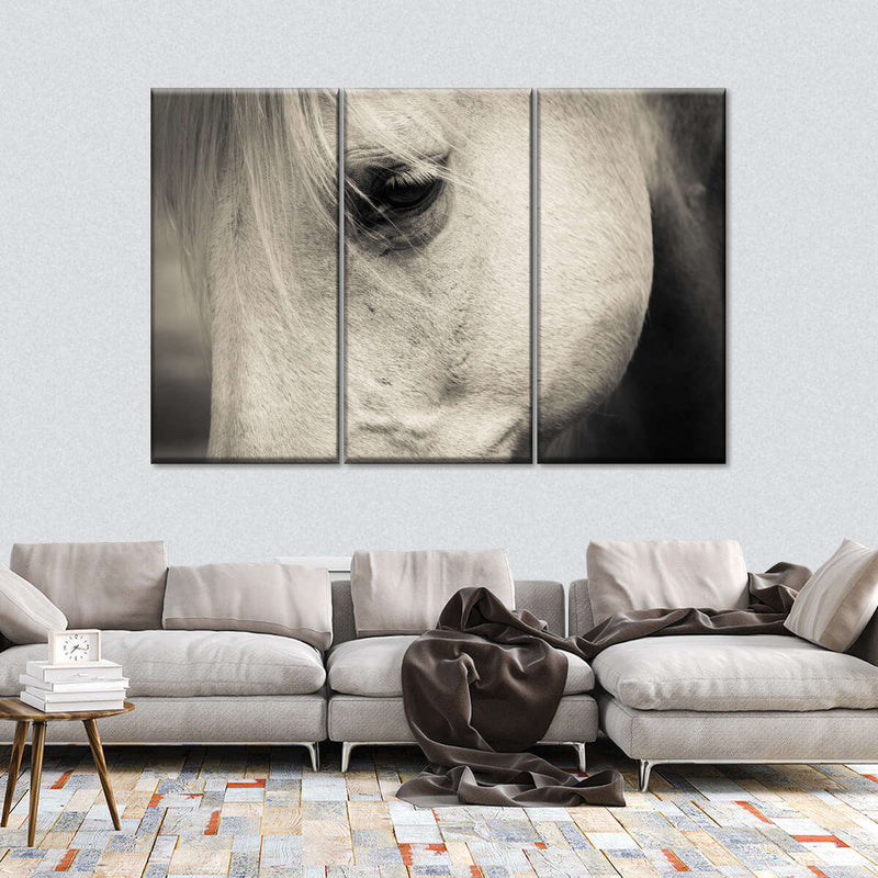 White Horse Eye Wall Art