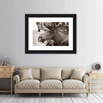 Moose Head Wall Art