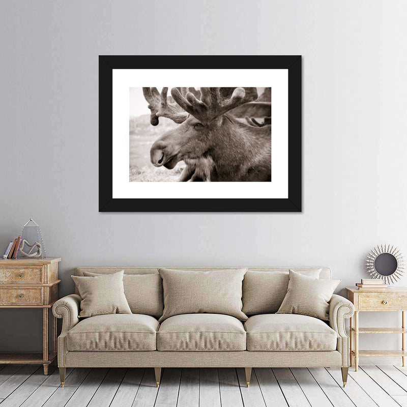 Moose Head Wall Art
