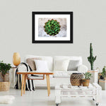 Grunge Succulent Wall Art