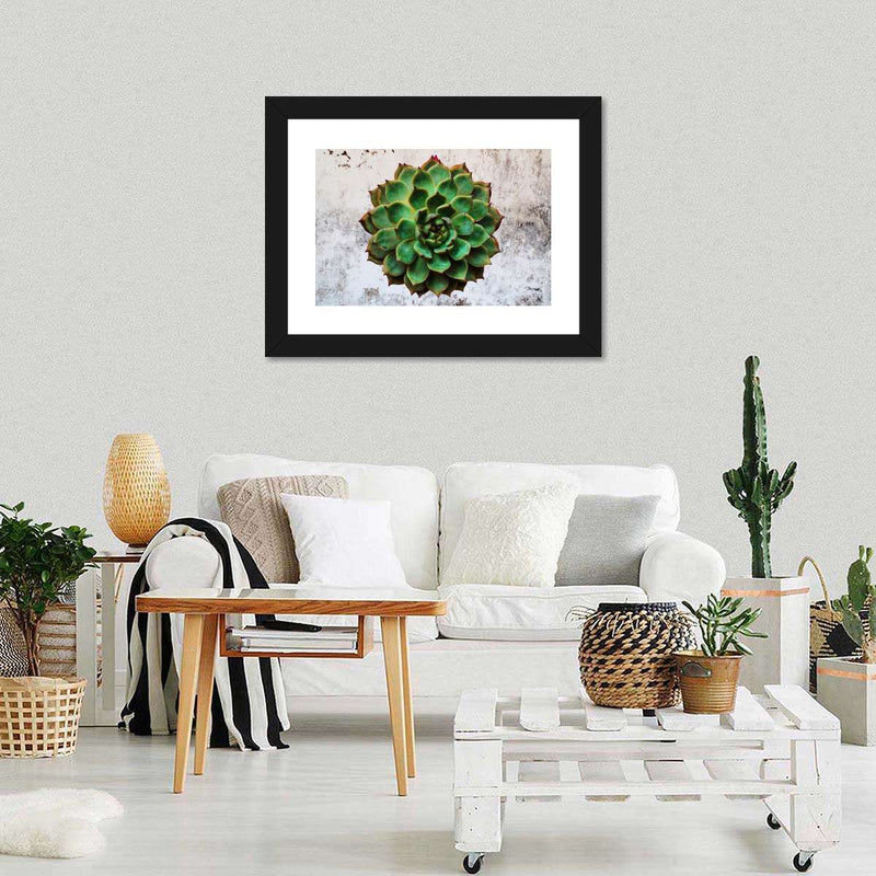 Grunge Succulent Wall Art