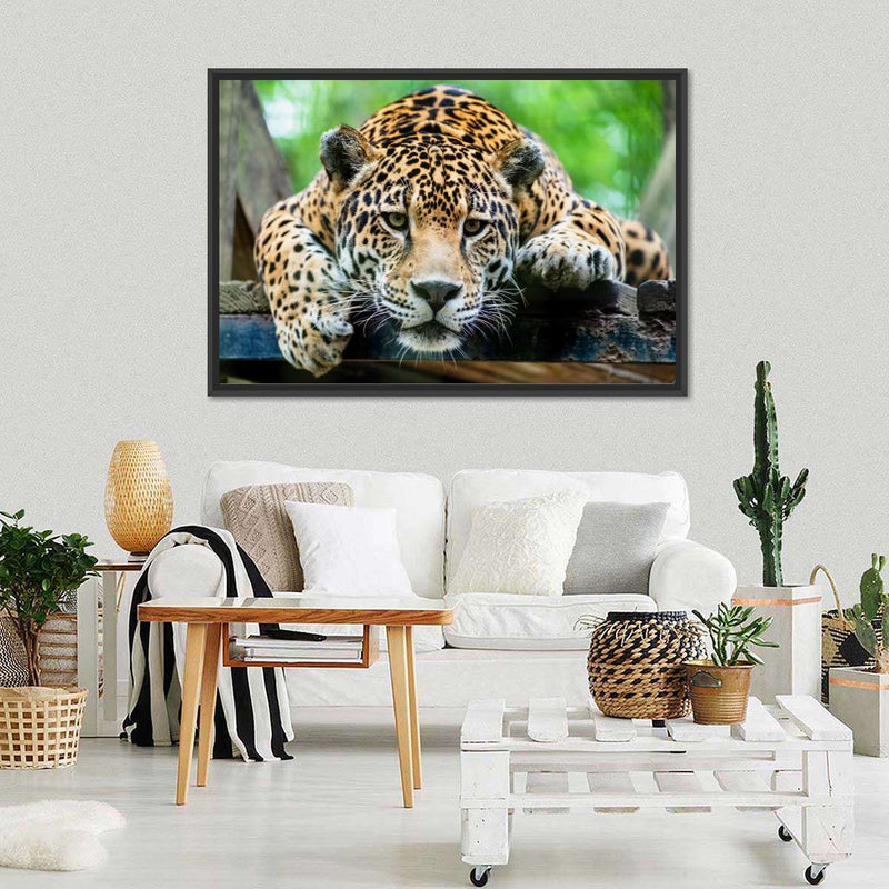 Lazy Leopard Wall Art