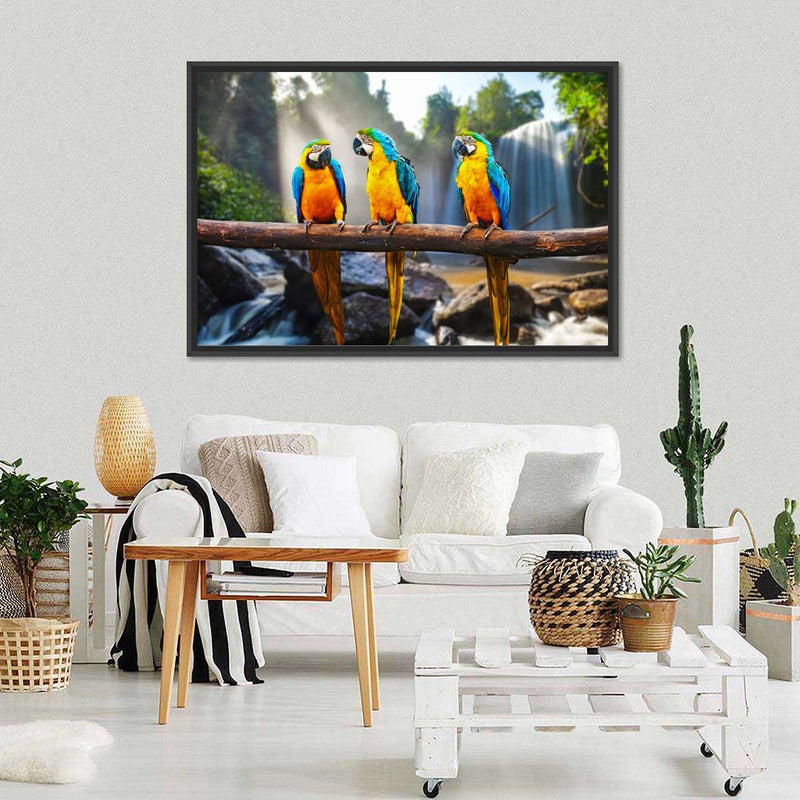 Macaw Friends Wall Art