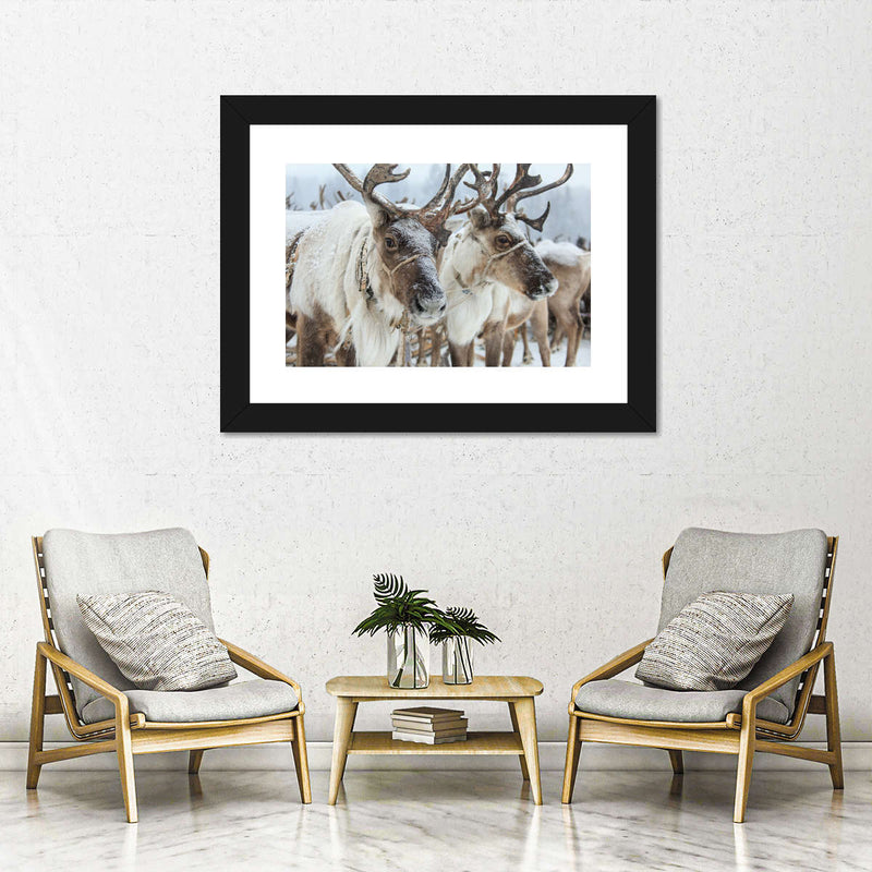 Snow Reindeer Wall Art