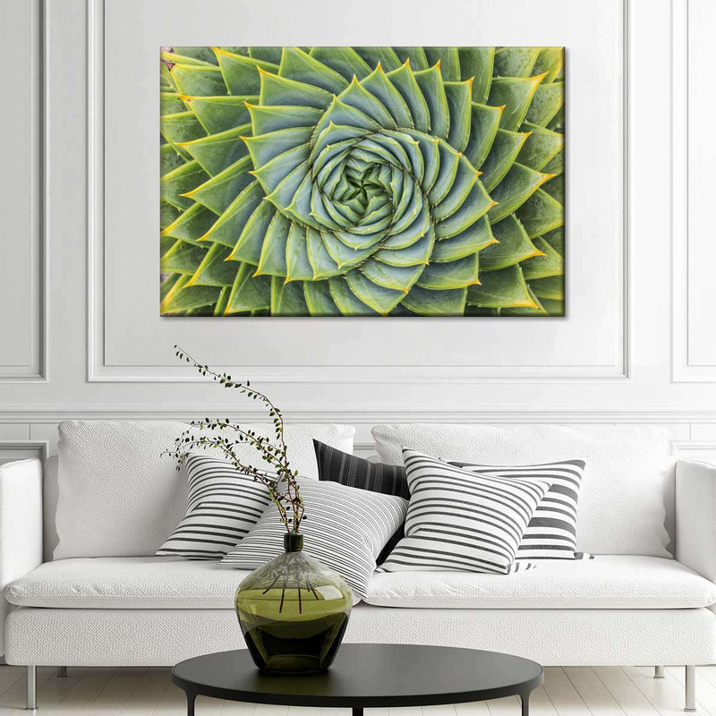 Spiral Succulent Wall Art