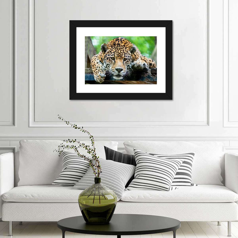 Lazy Leopard Wall Art