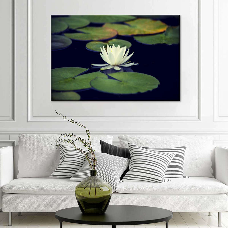 Lotus And Leaves Wall Art