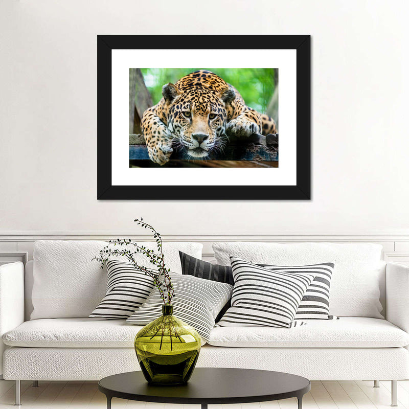 Lazy Leopard Wall Art