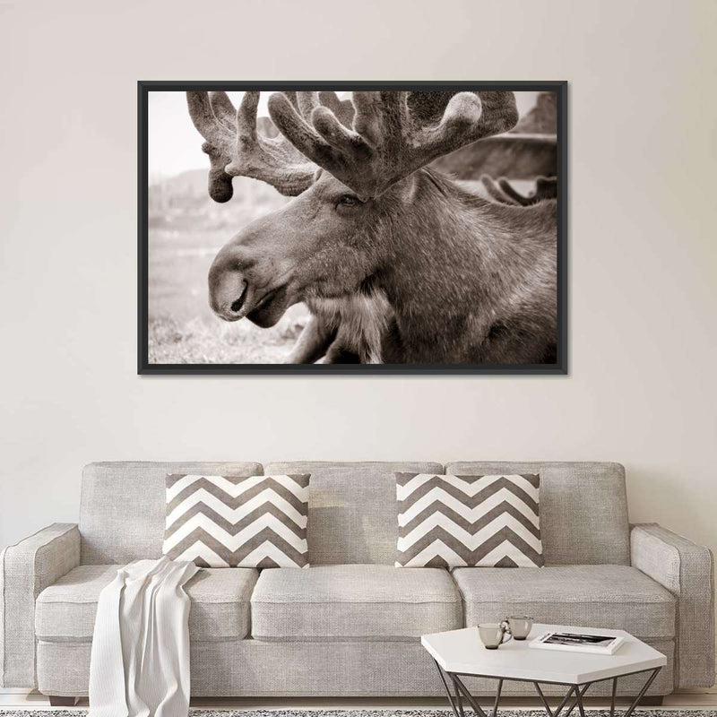 Moose Head Wall Art