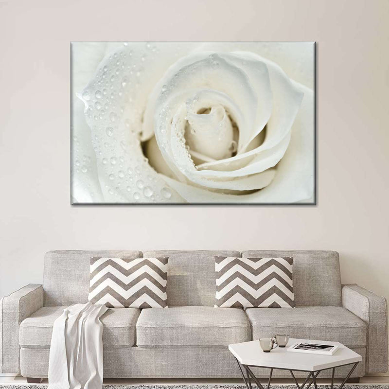 White Rose Close Up Wall Art