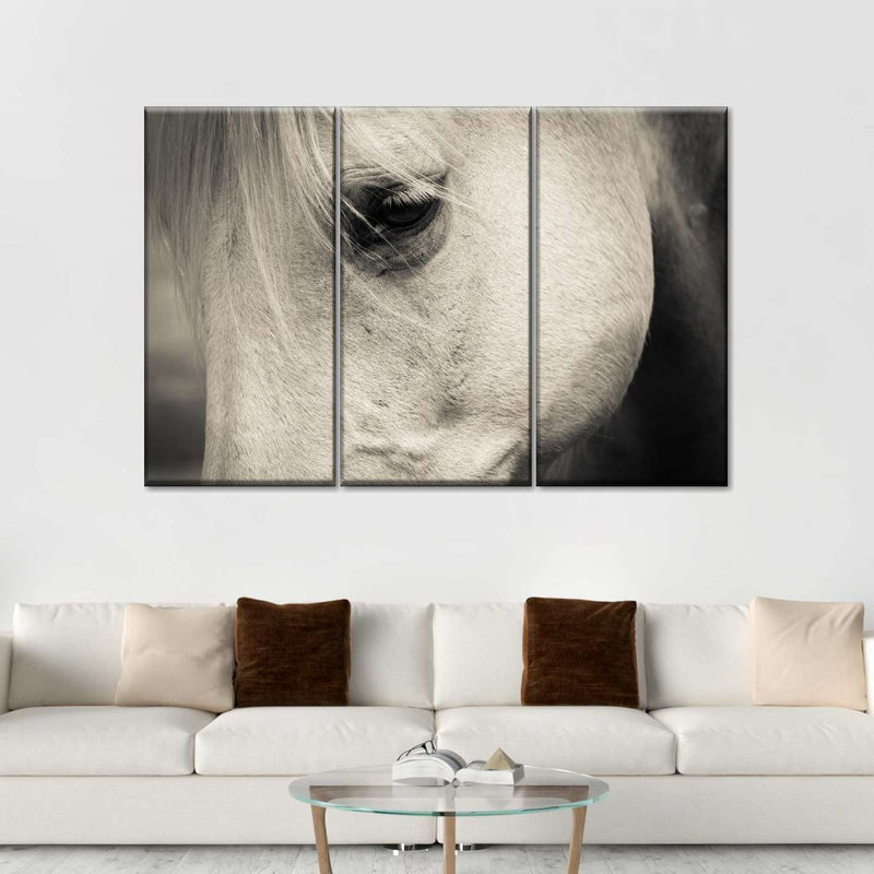 White Horse Eye Wall Art