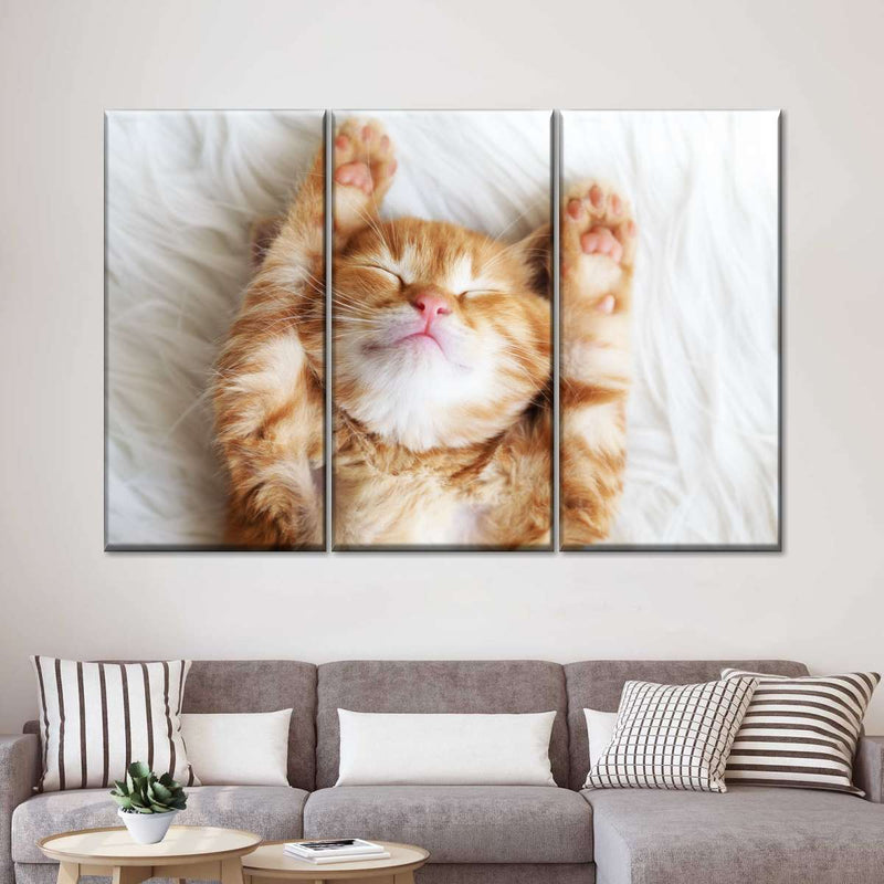 Sleepy Kitty Wall Art