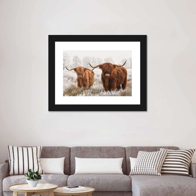 Hairy Scottish Highland Cows Wall Art