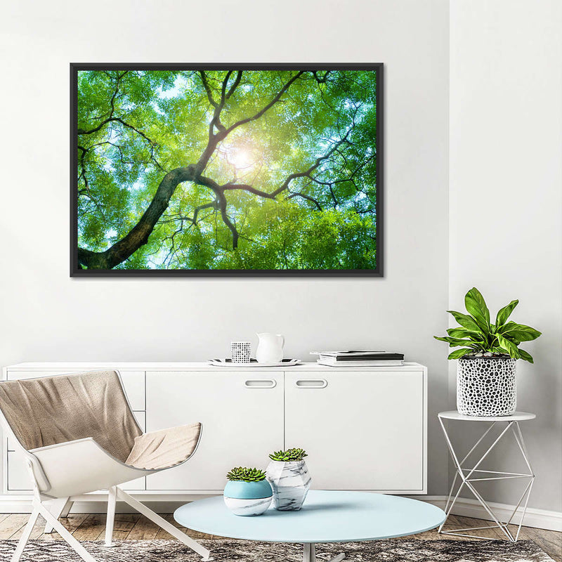 Tree Canopy Sunshine Wall Art