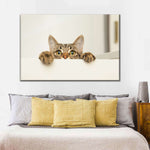 Peeking Young Cat Wall Art