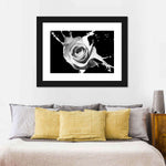 Rose Splash Wall Art