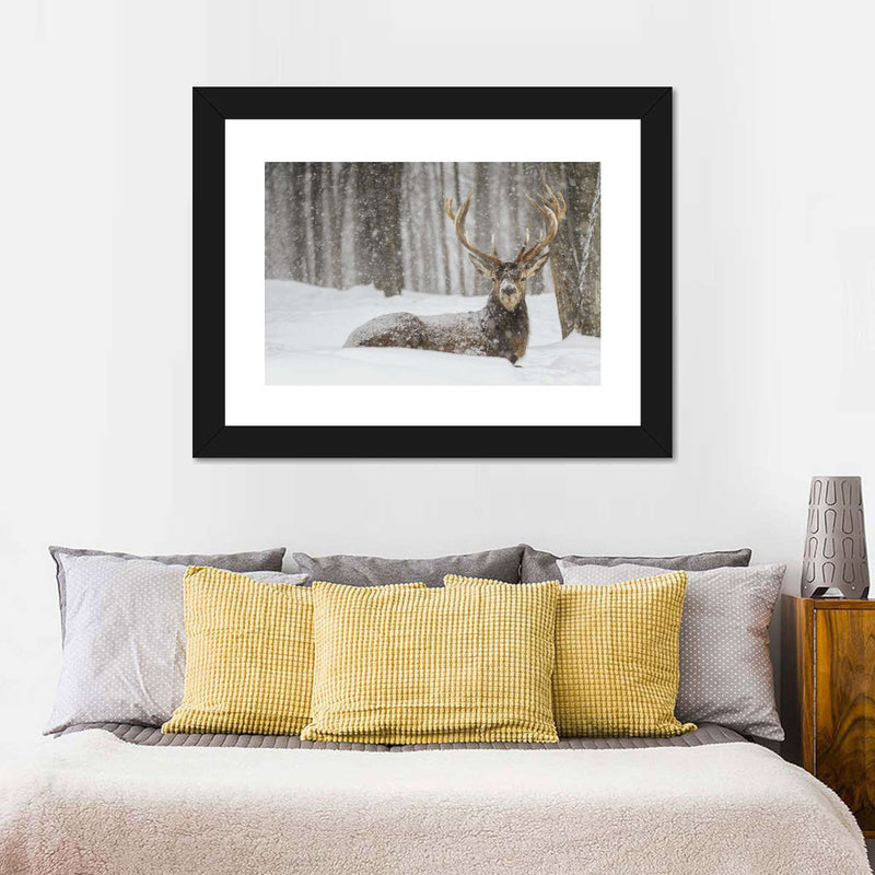 Snow Covered Elk Wall Art