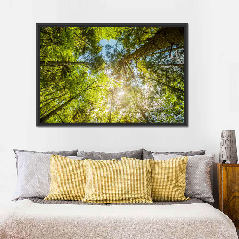 Tree Top Wall Art