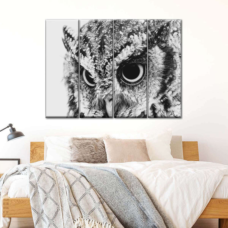 Staring Owl Wall Art