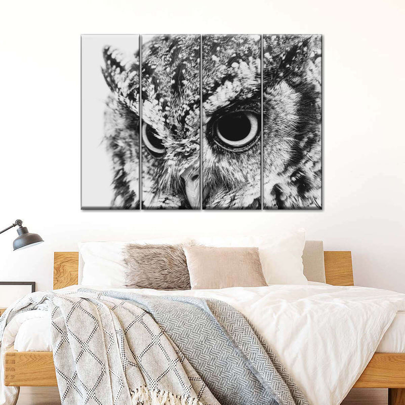 Staring Owl Wall Art