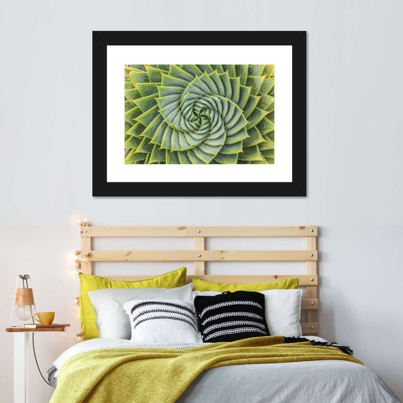 Spiral Succulent Wall Art