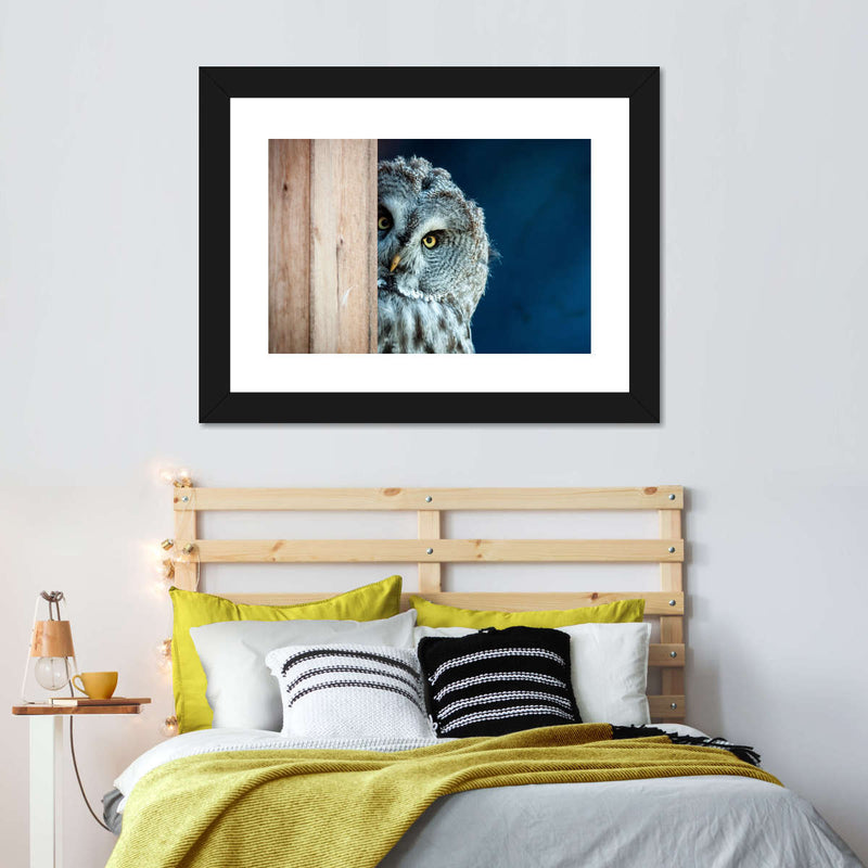Peeking Owl Wall Art